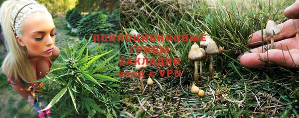 ECSTASY Алексин